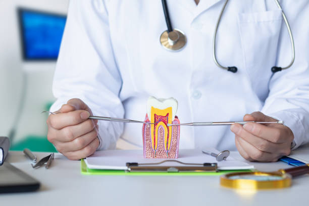 Best Holiday Emergency Dentist in Bay City, TX